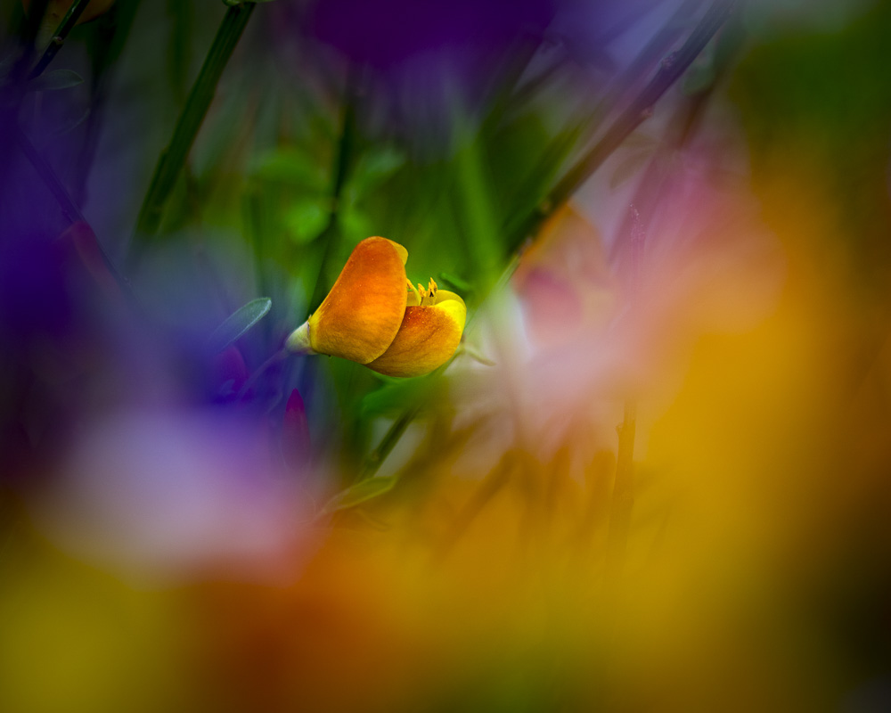 1. Platz Christoph Frank